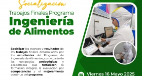Socialización de trabajos finales